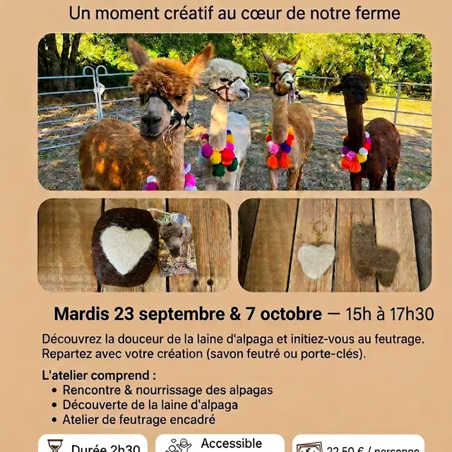 atelier-feutrage-septembre-octobre_v4