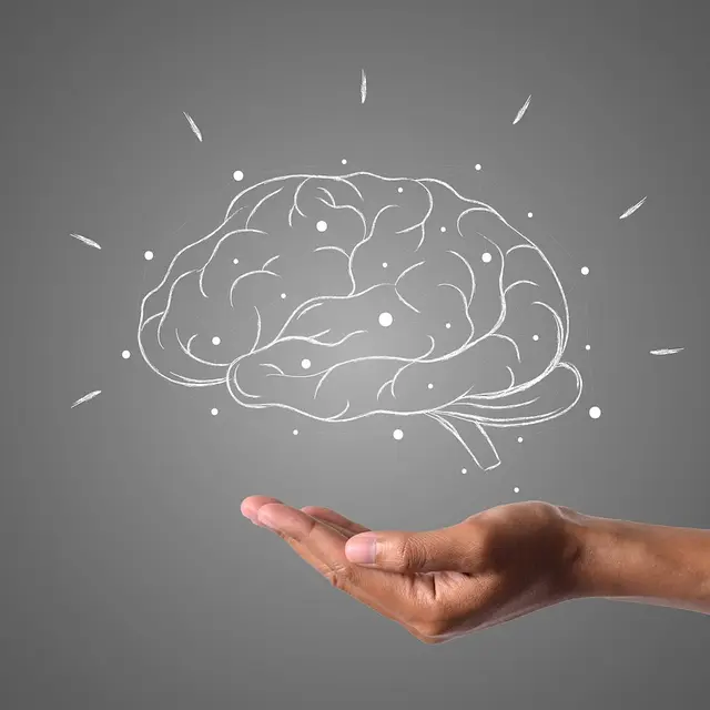brain-4961452_1280