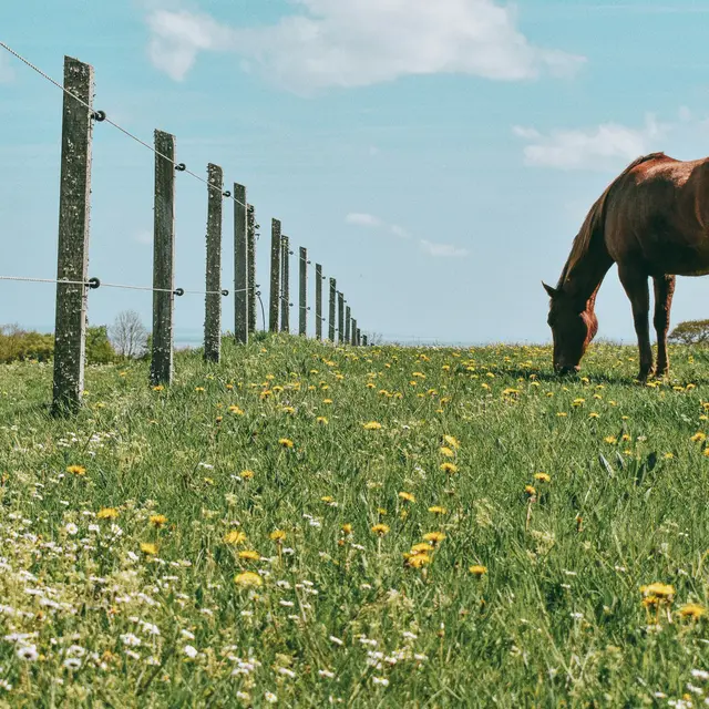 bucography-LwWPNOCiK-g-unsplash