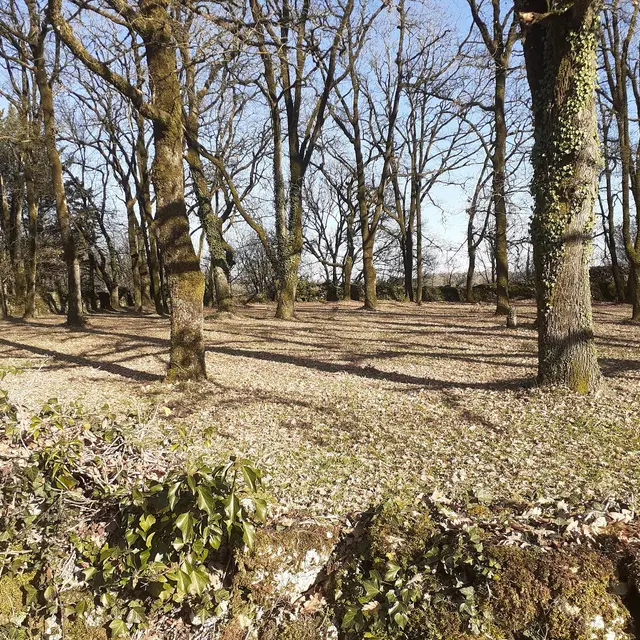 camping à la ferme 1