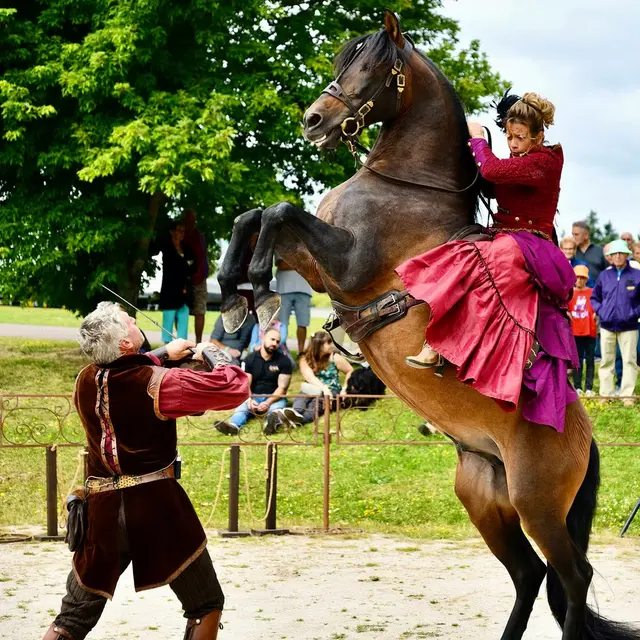 cavalscènbe
