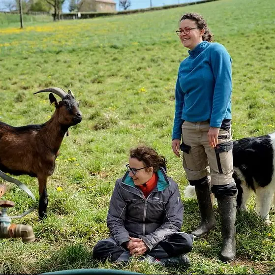 Cabrioles de Balajou à Figeac