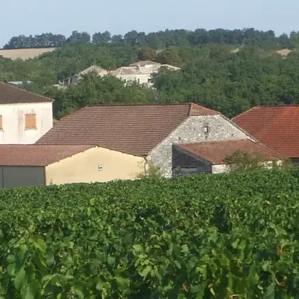 Chateau du Brel-Fargues-©Vignerons indépendants