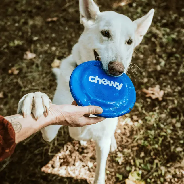 Photo d'illustration