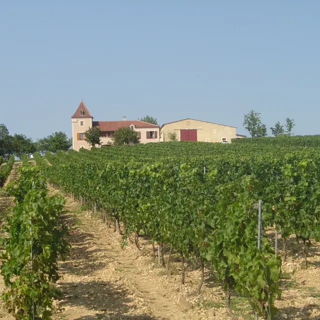 clos de pougette