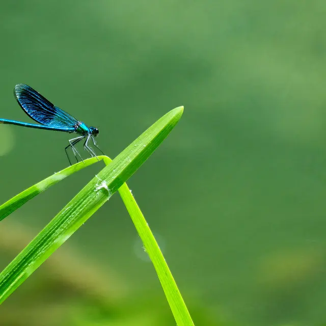 clement-falize-b3JEZYlckMc-unsplash