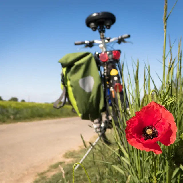 VÉLO