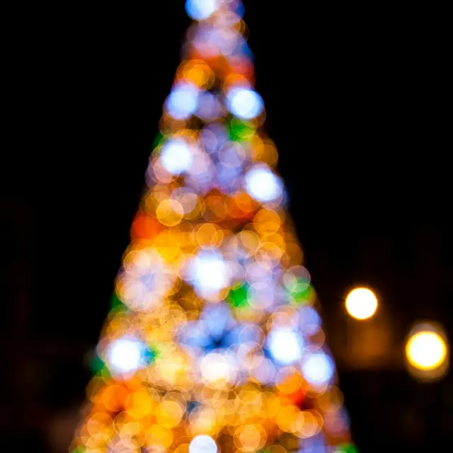 dawid-zawila-AQMuOTQ9OFA-unsplash