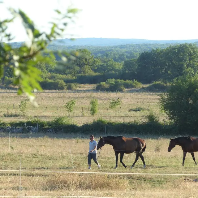domaine-de-mons-pension-chevaux-07