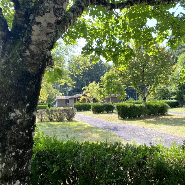 Camping Le Vert-Bois à Saint-Martin-la-Méanne, emplacements nus