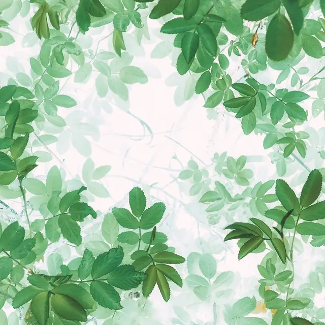 aquarelel forêt