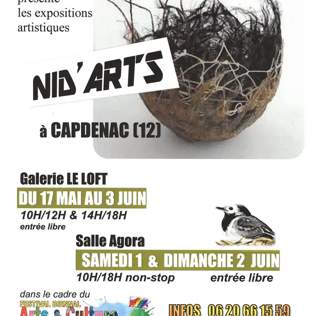 expositions NID'ARTS pour le Festival Arts et Culture 2024 organisé par Courants d'Art