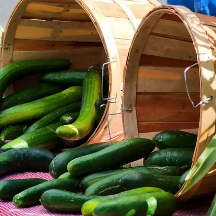 farmers-market-cucumbers-3858540_640