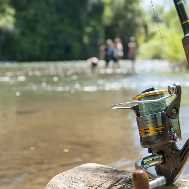 fishing-2948694_1280