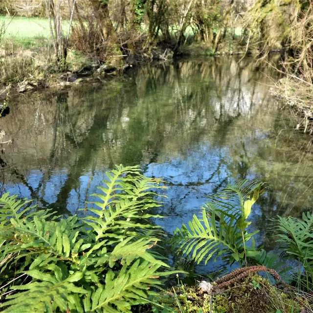 Vallée du Vers