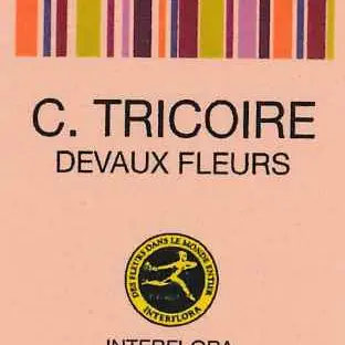 fleuriste devaux tricoire Bretenoux