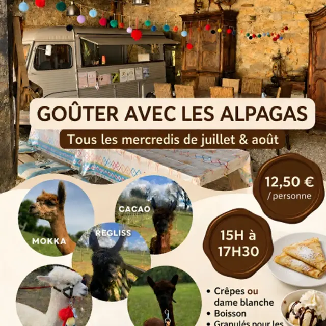 goûter avec les alpagas fons 2
