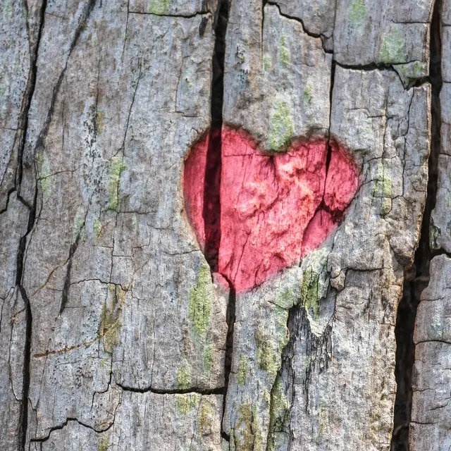 heart-8173525_1280