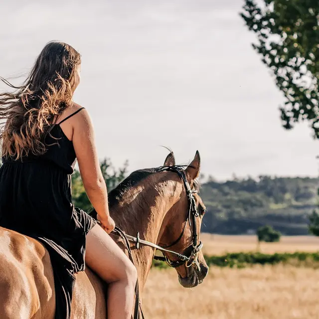 horseback-riding-3553269_1280