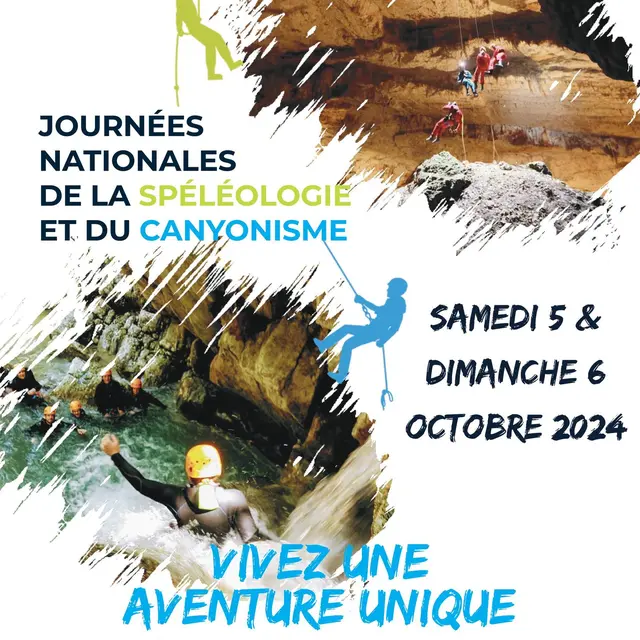 image (3)