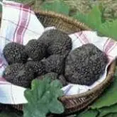 Plaisirs et saveurs