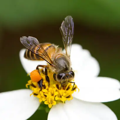 istockphoto-105687433-612x612