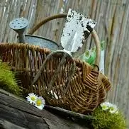 jardinage