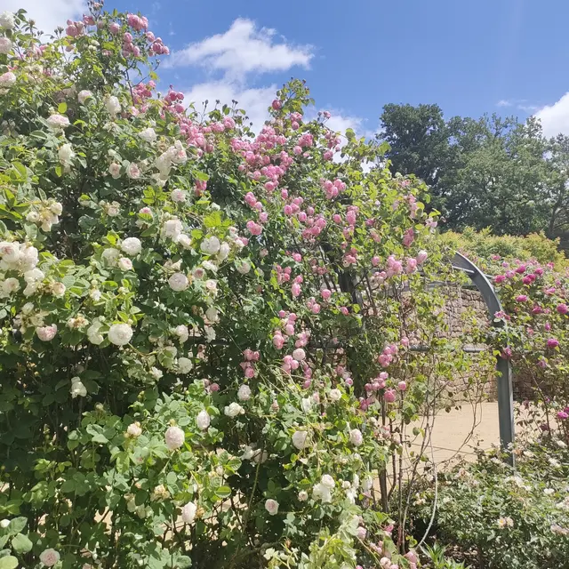 Jardins Sothys