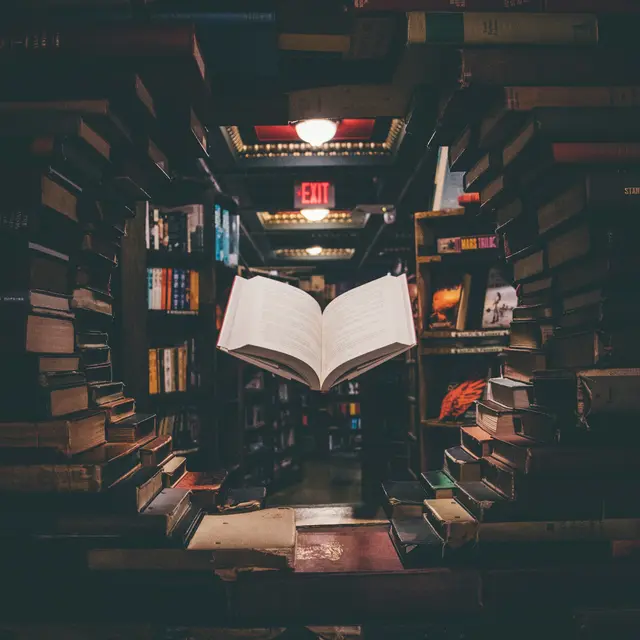 Lecture