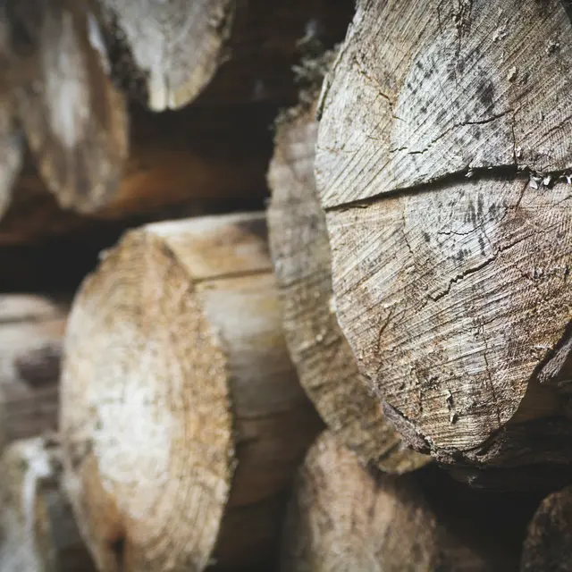 jon-butterworth-_kjGPlM5YfA-unsplash