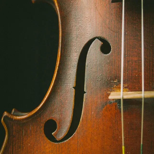 Violoncelle