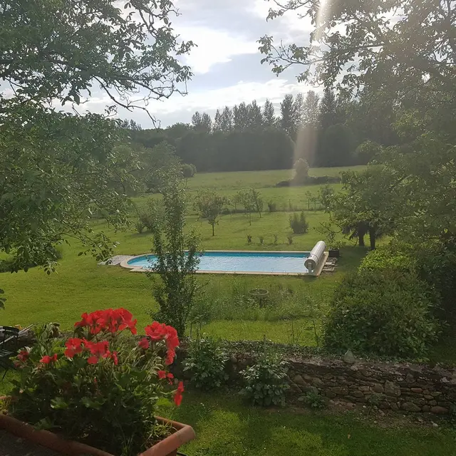 le jardin et la piscine