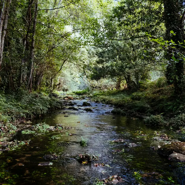 karim-sakhibgareev-fsc2v3jfxvk-unsplash