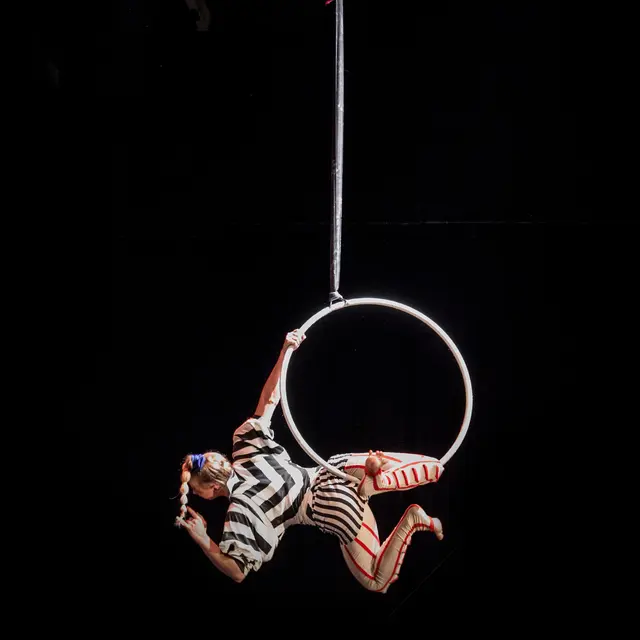 kerttu-aerial-hoop-2441849