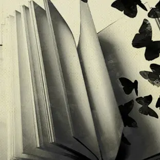 l-envol-des-mots