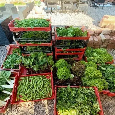 la_ferme_rouge_et_vert_2