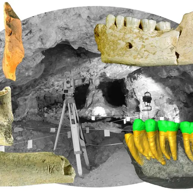 la-grotte-sirogne-des-neandertaliens-a-la-loupe-imagerie-3d