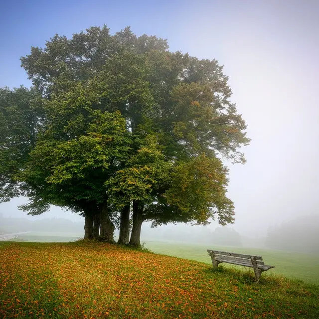 landscape-5591270_1280