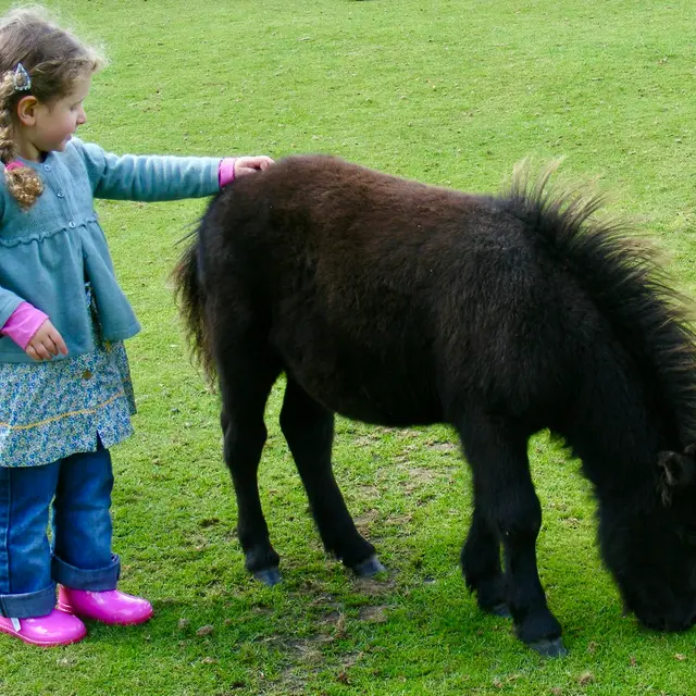 laura-marks-fcOMeeuORgE-unsplash