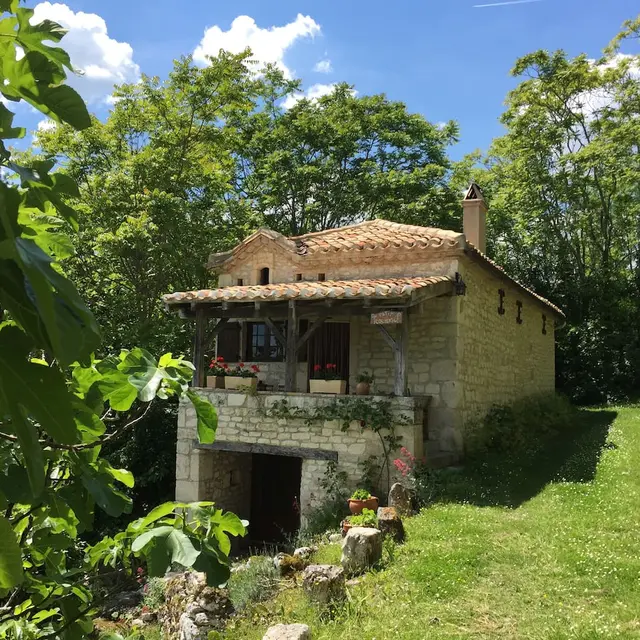 lepetitcournou