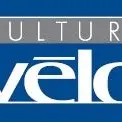 logo culturevlo