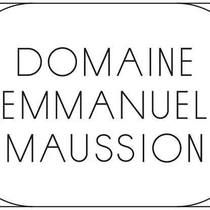 logotype 80 sans bord