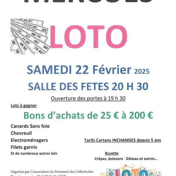 loto-Mercues-46