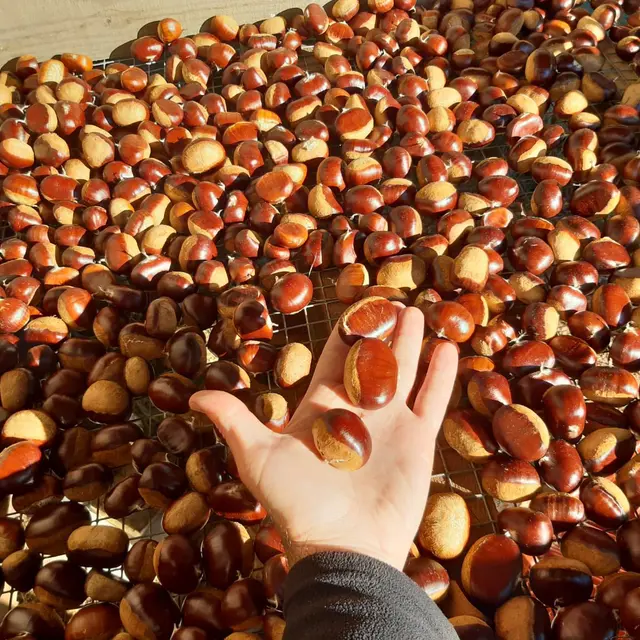 La ferme de Louisotte