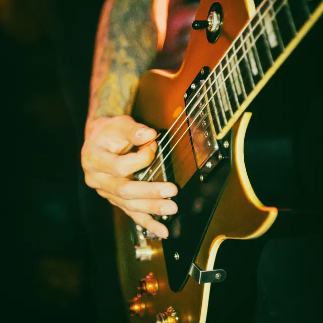Guitariste Concert