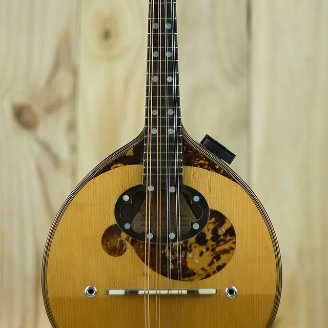 mandolin-3883302_1280