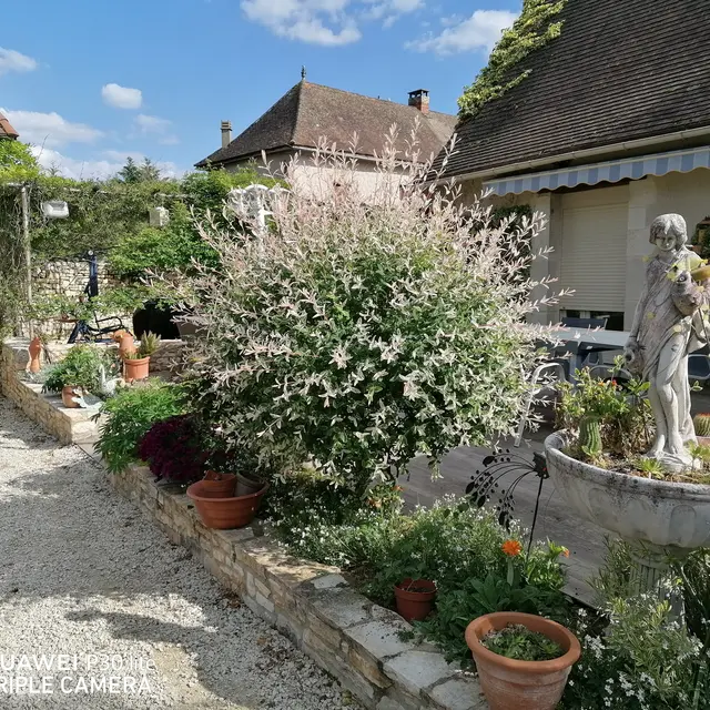 Chambre d'hôte les oiseaux extérieur