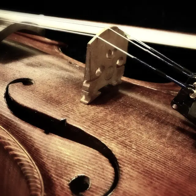 Violon
