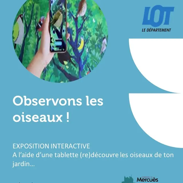 oiseaux