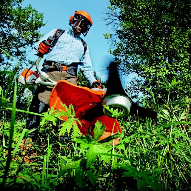 pexels-garden-2179095